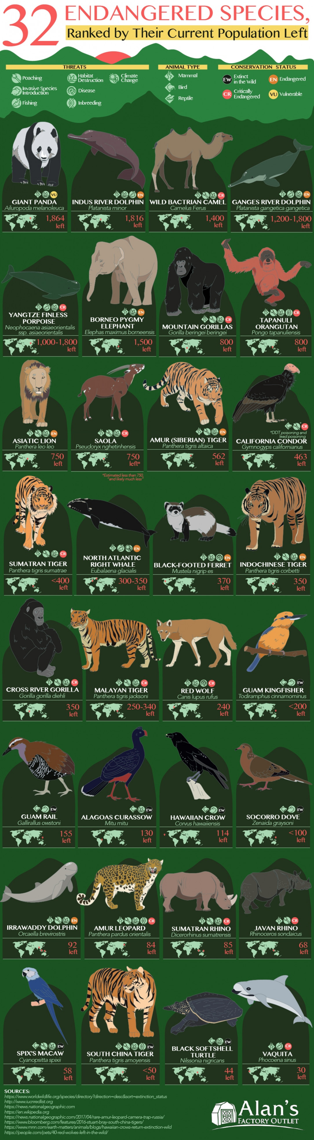 Guide to the endangered species on Earth, ranked in order of how many are left