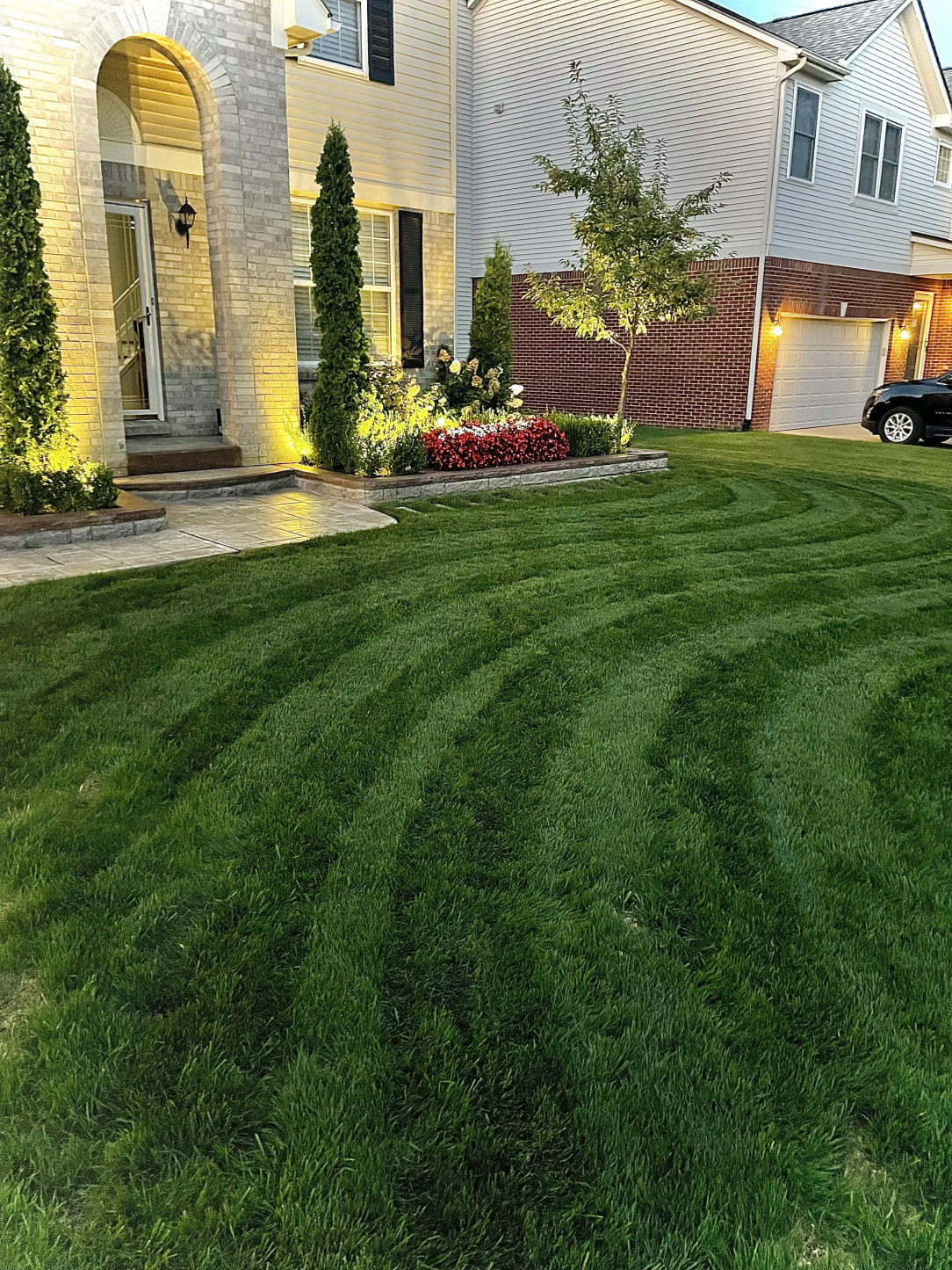 Was feeling down. Decided to mow the lawn differently today