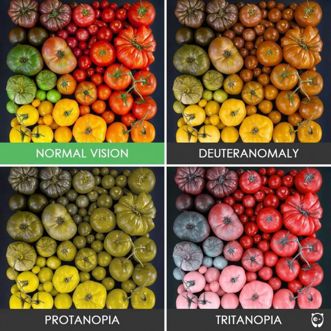 Different forms of Color blindness