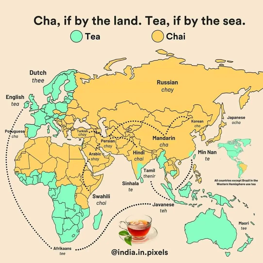 Chai vs Tea