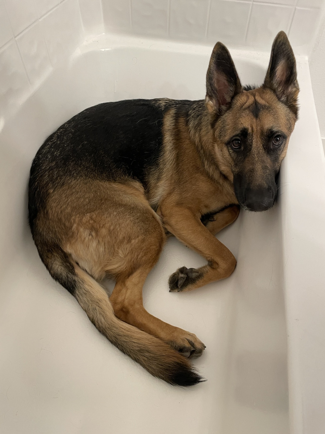 She loves the bathtub