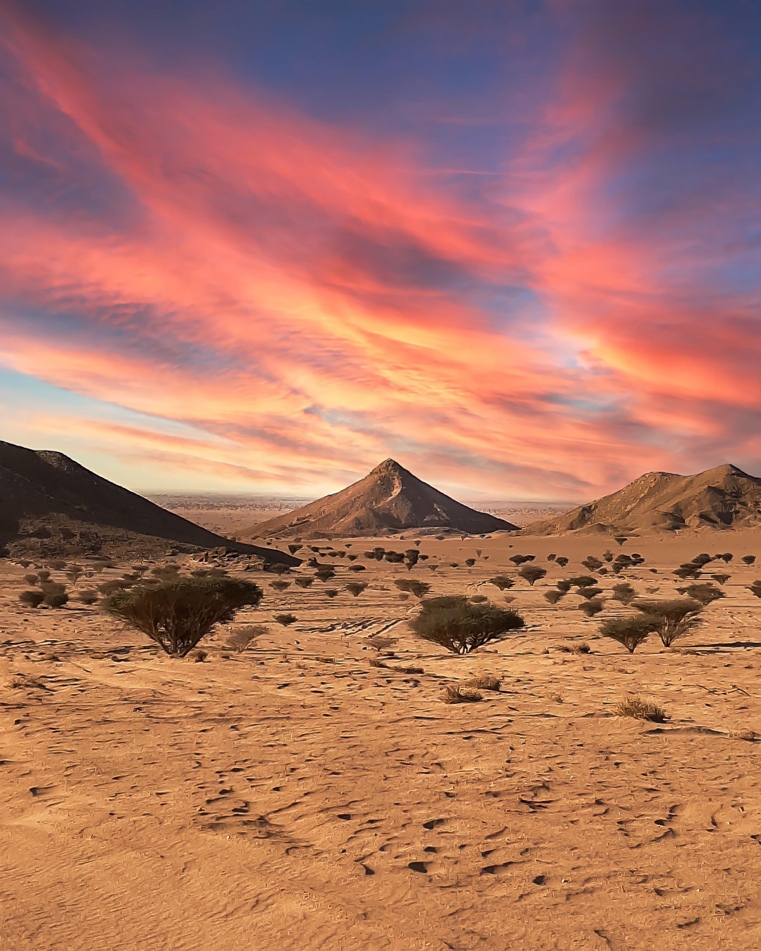 Saudi Arabian desert 😮