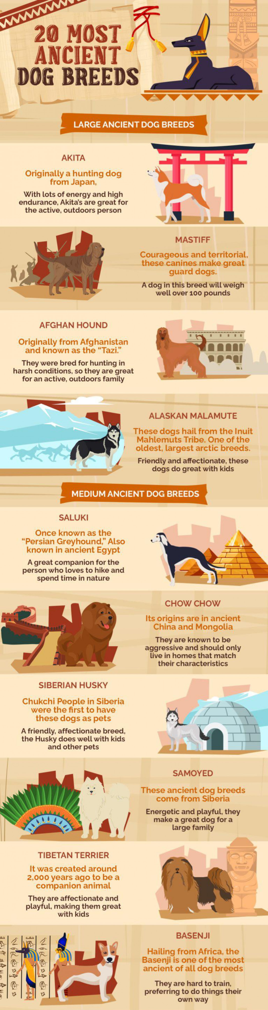 Most Ancient Dog Breeds 🐶