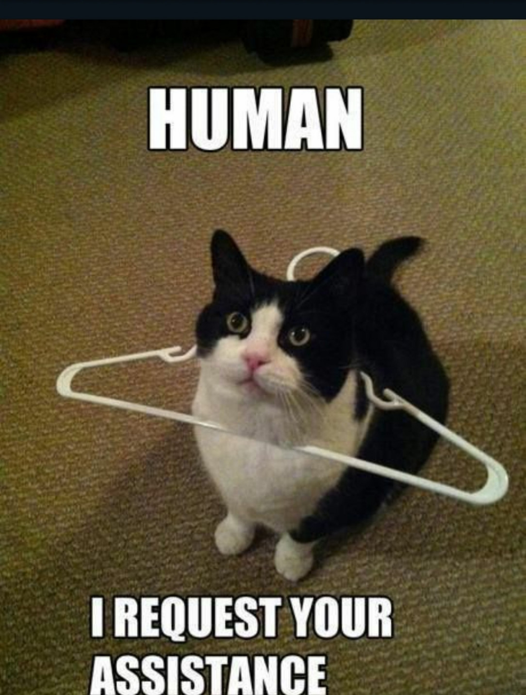 When you need humans