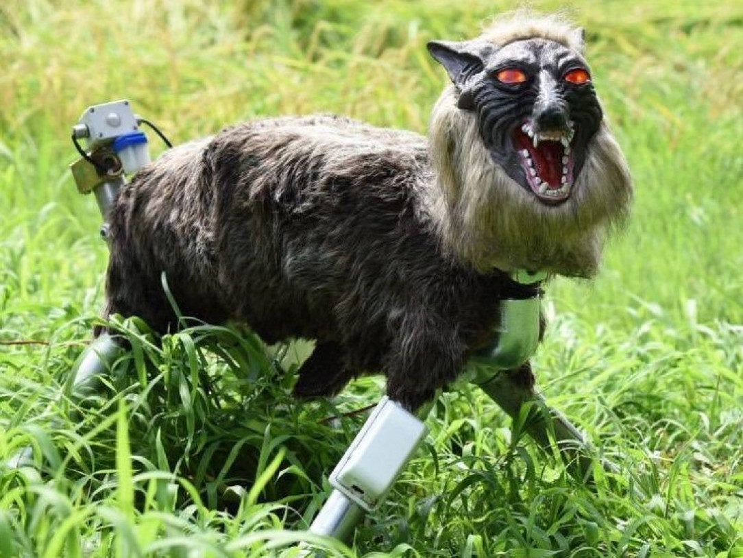 Solar-powered Robot Wolves are protecting the crops of Japanese farmers