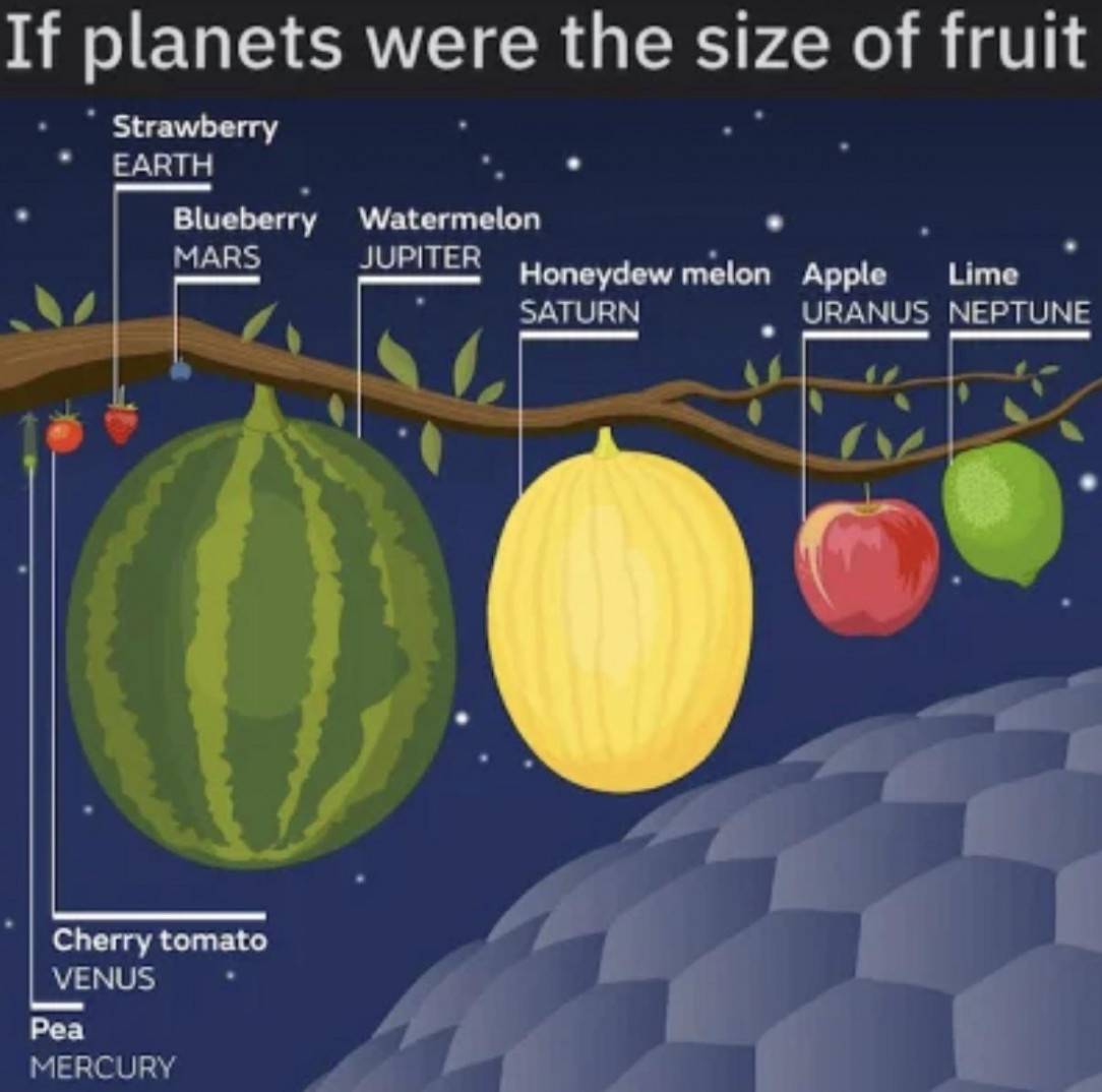 If planets were the size of fruits