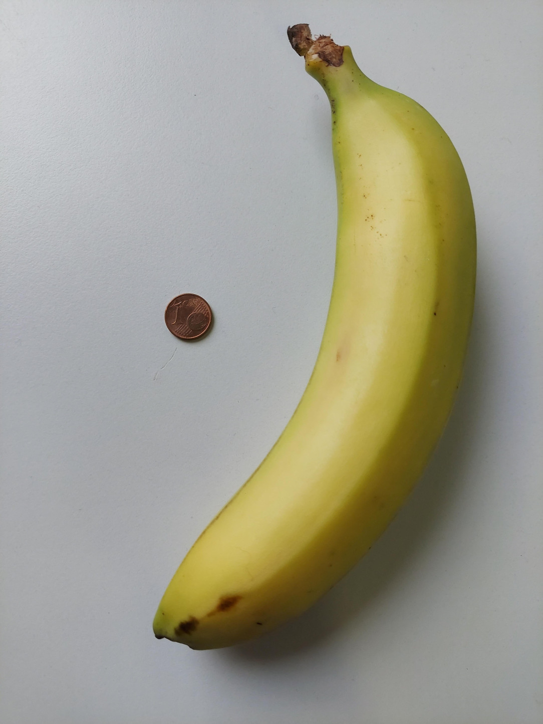 Why is the cent so small? Banana for scale