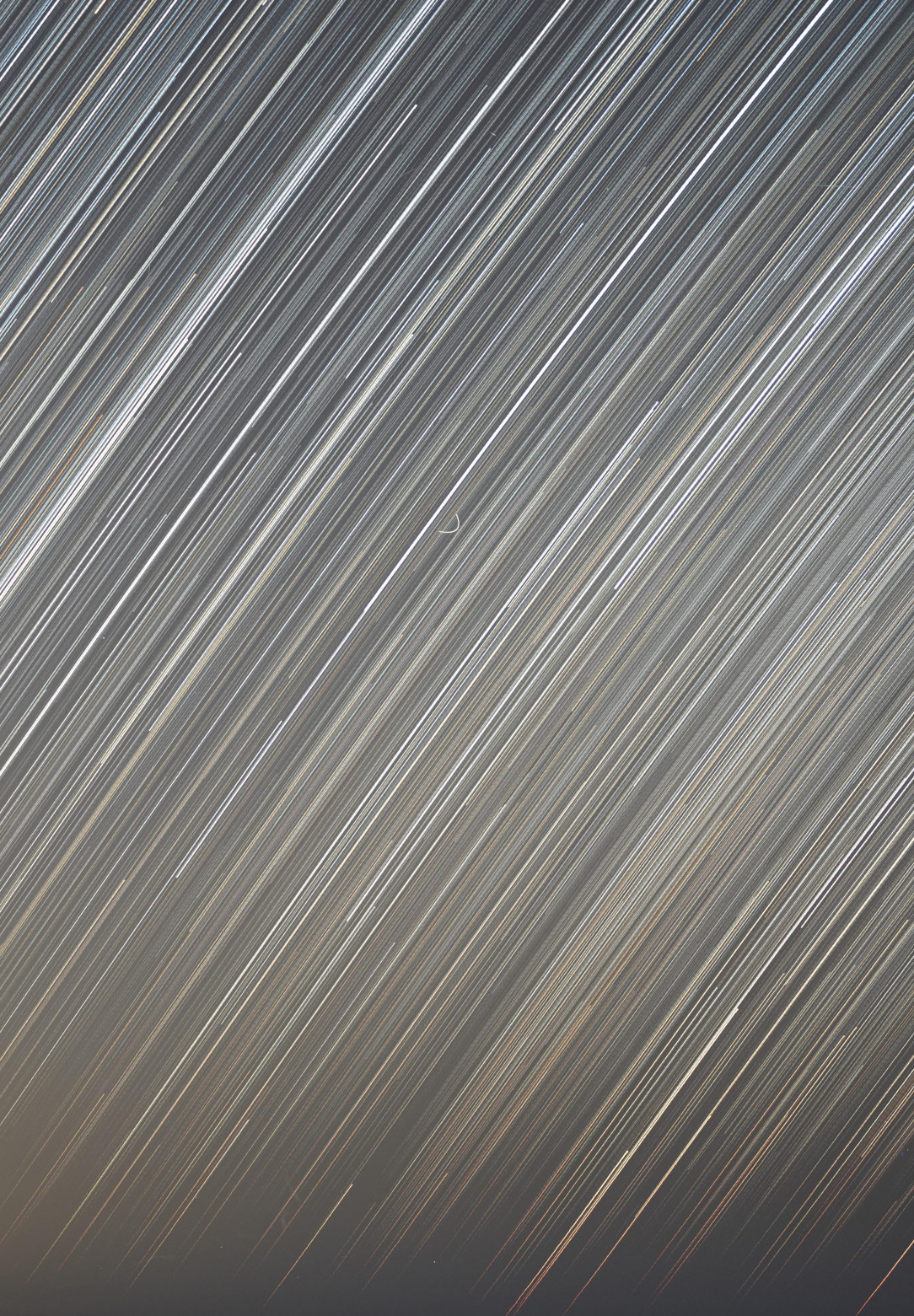 What is this thing I captured in a star trail photo shoot? More in comments