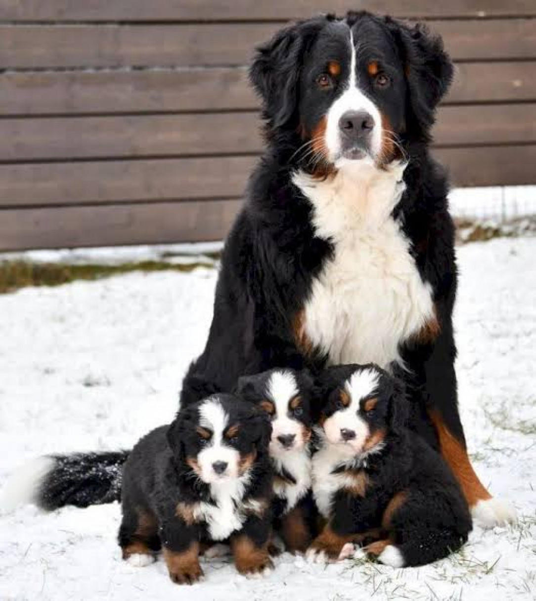 Triplets with mom