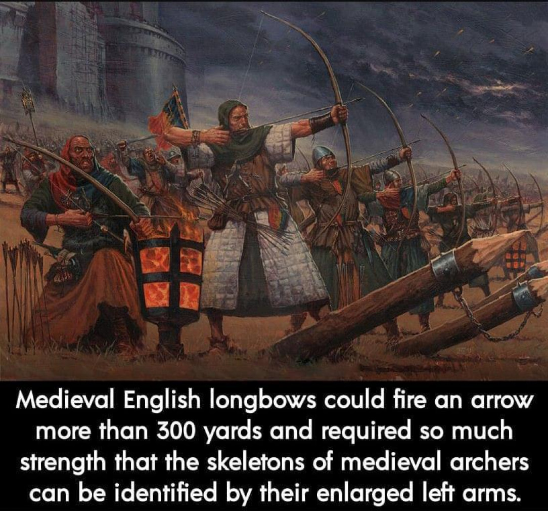 Identifying Medieval English Longbows