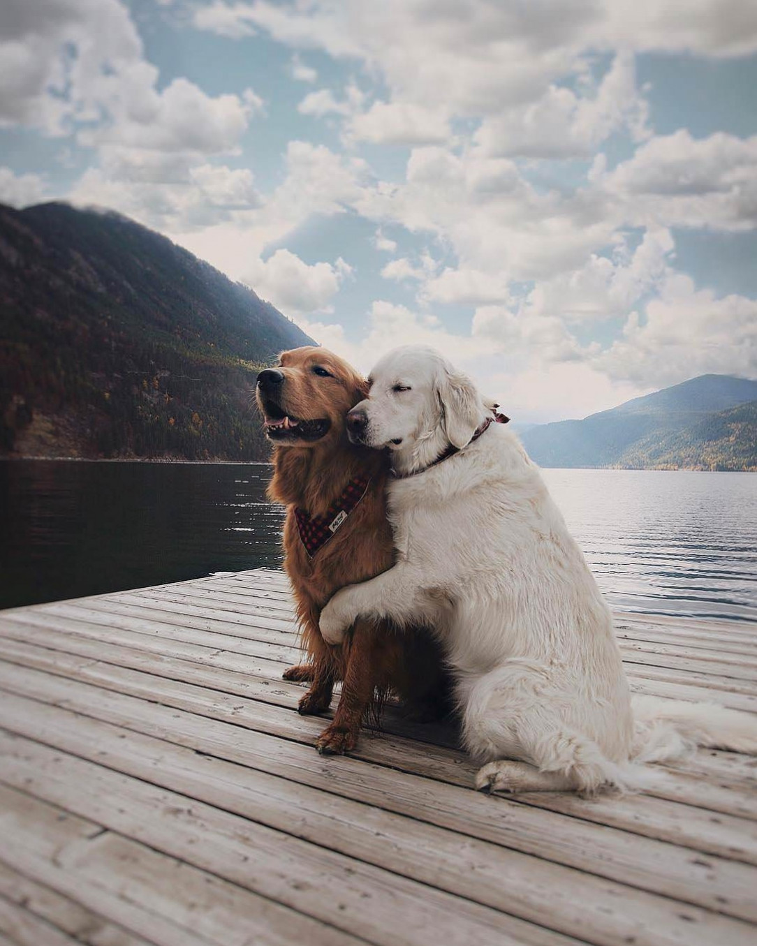 Posing for a beautiful shot by the lake