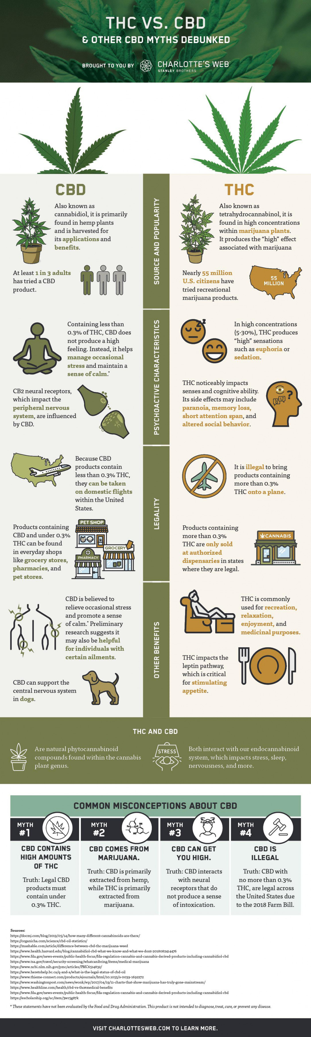 THC vs CBD