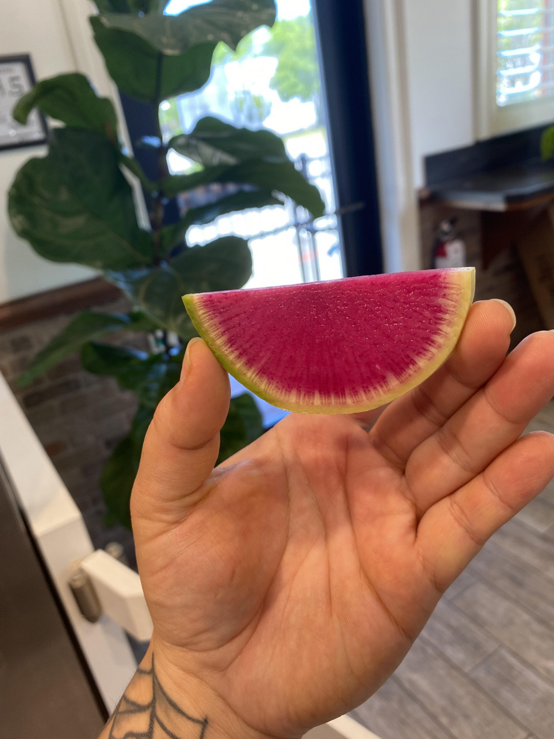 The most perfect watermelon radish 🍉