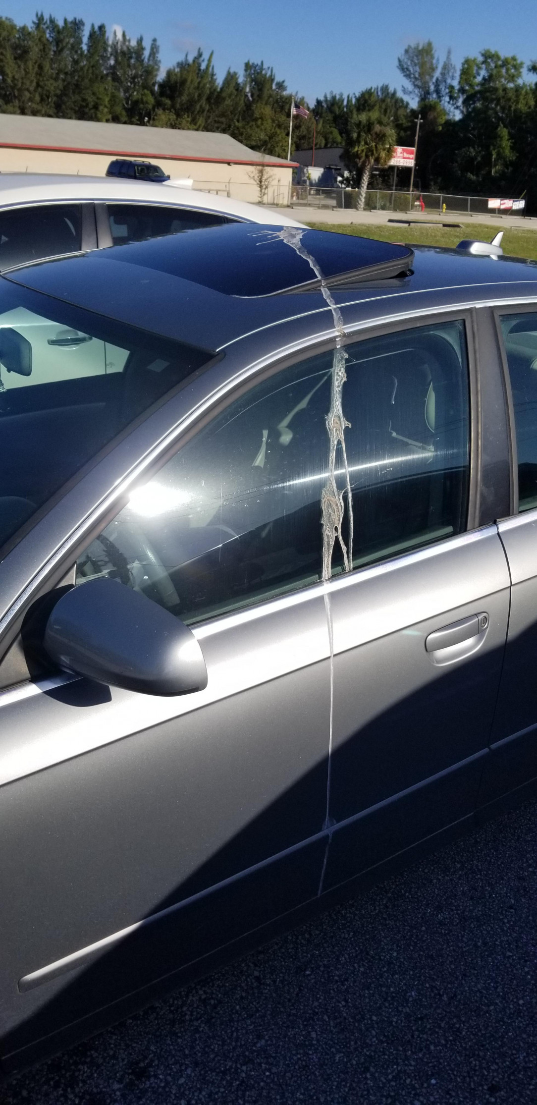 A bird took a whole ass shit on a car at work