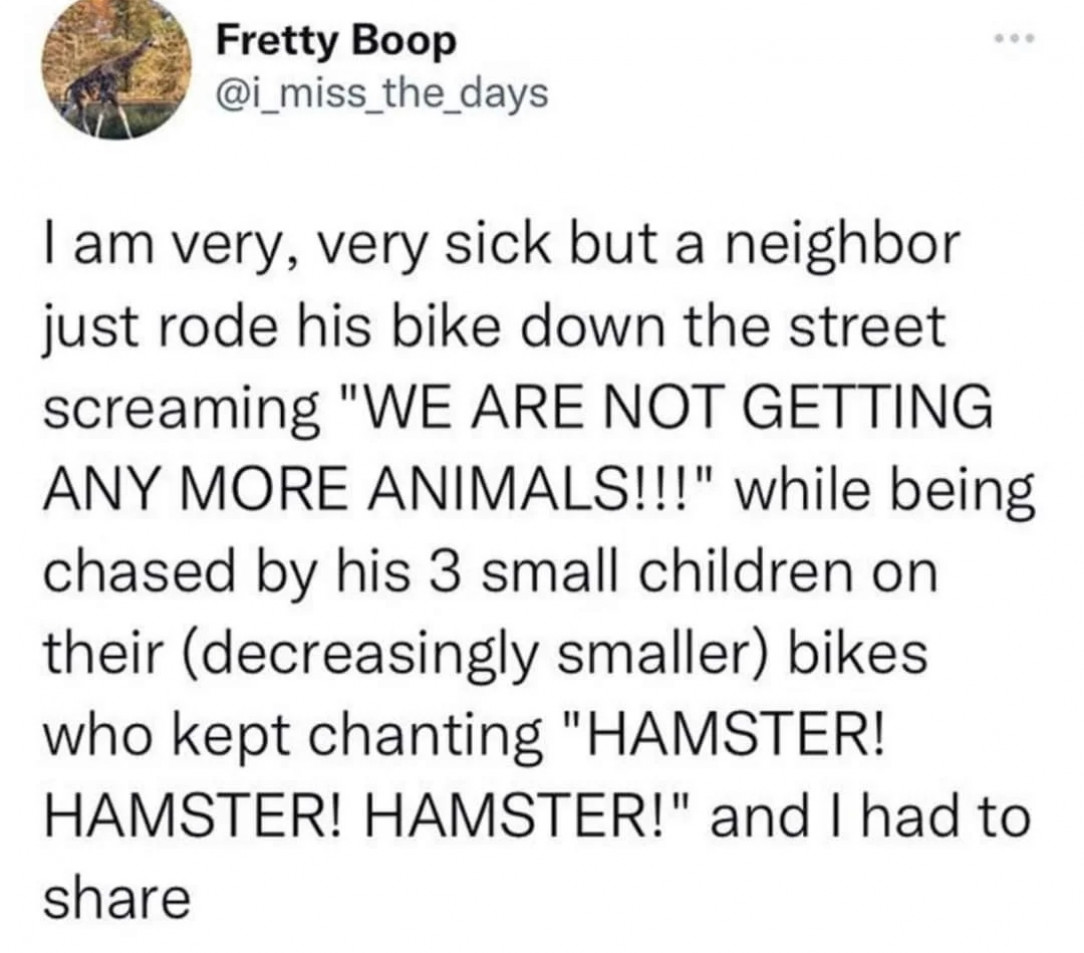 Hamsters