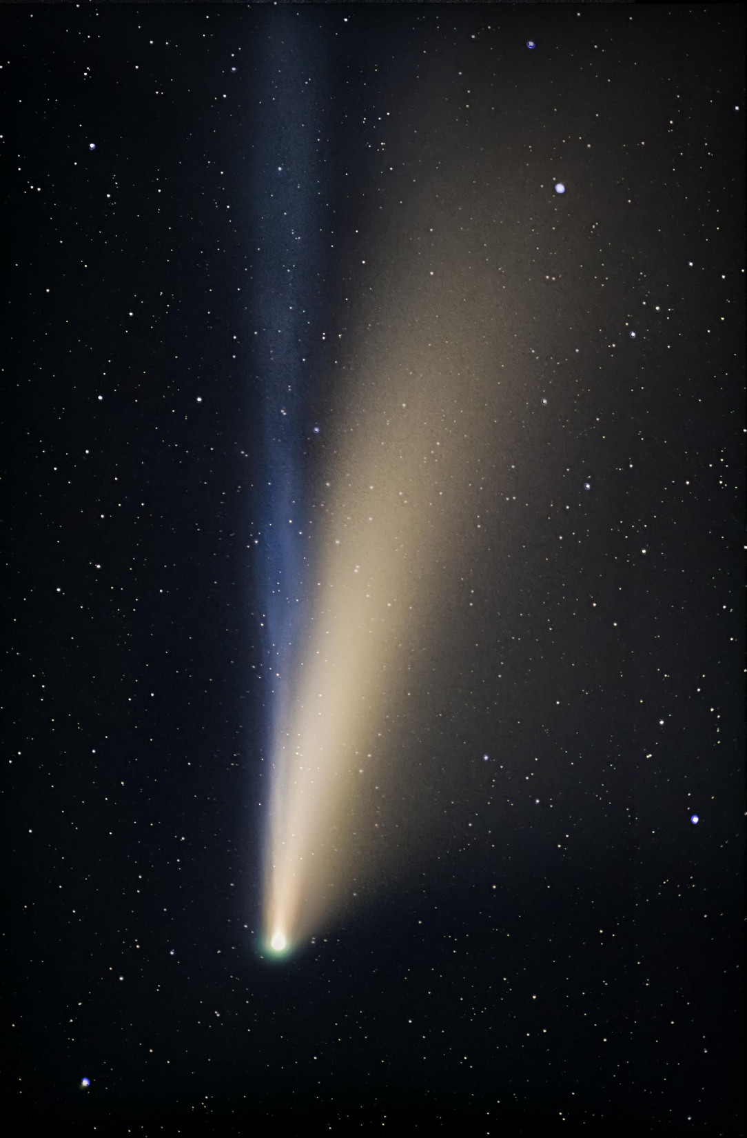 My shot of Comet Neowise from July / Space / Grepless
