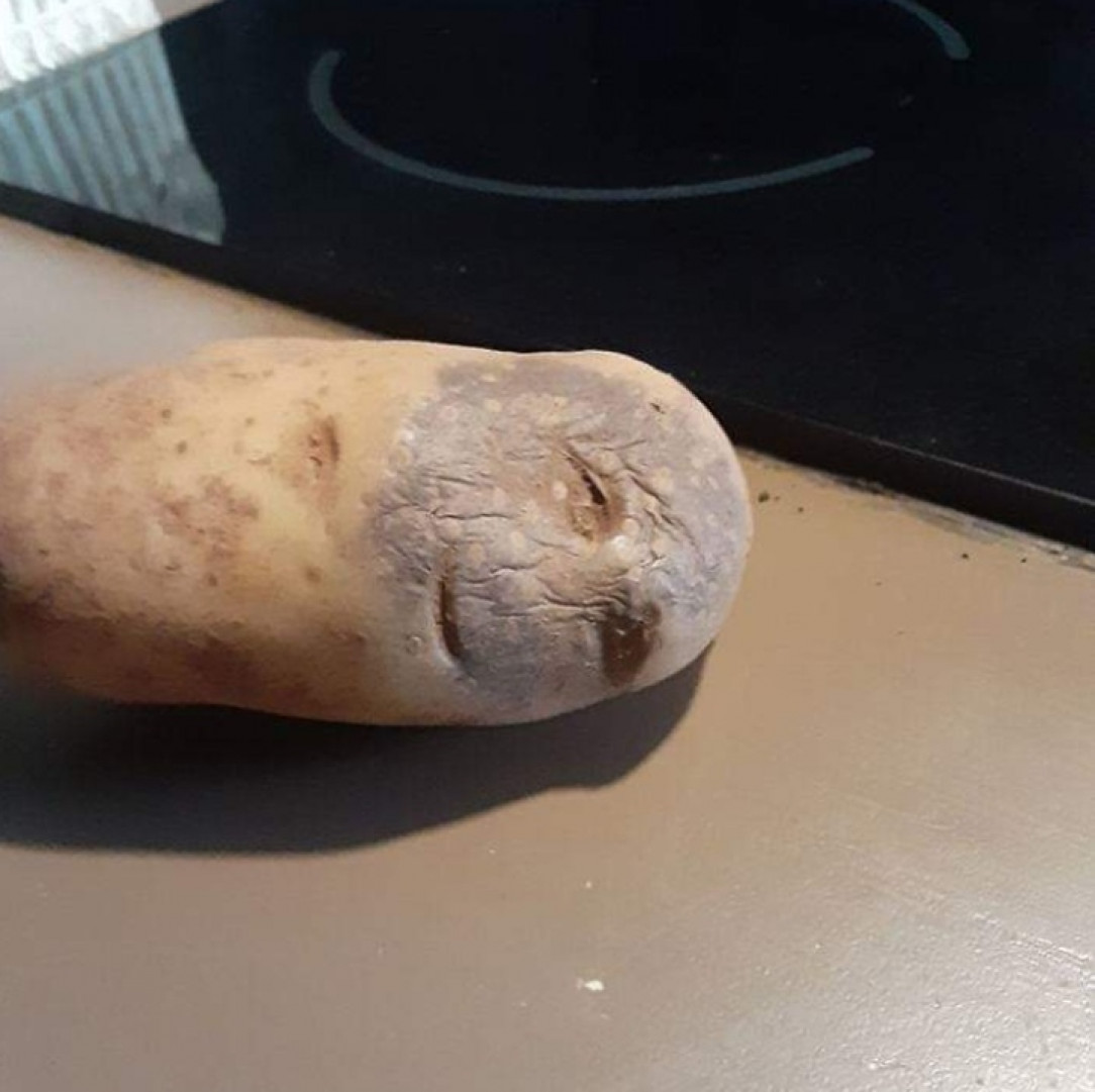 This potato