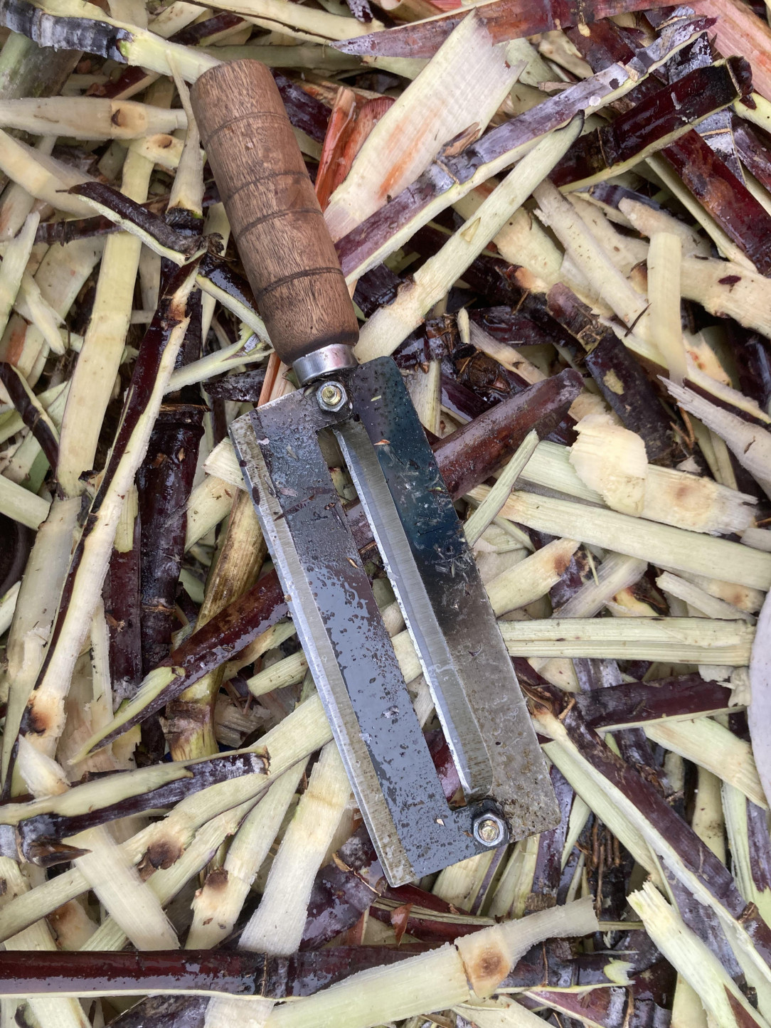 sugar cane stripper/cleaver