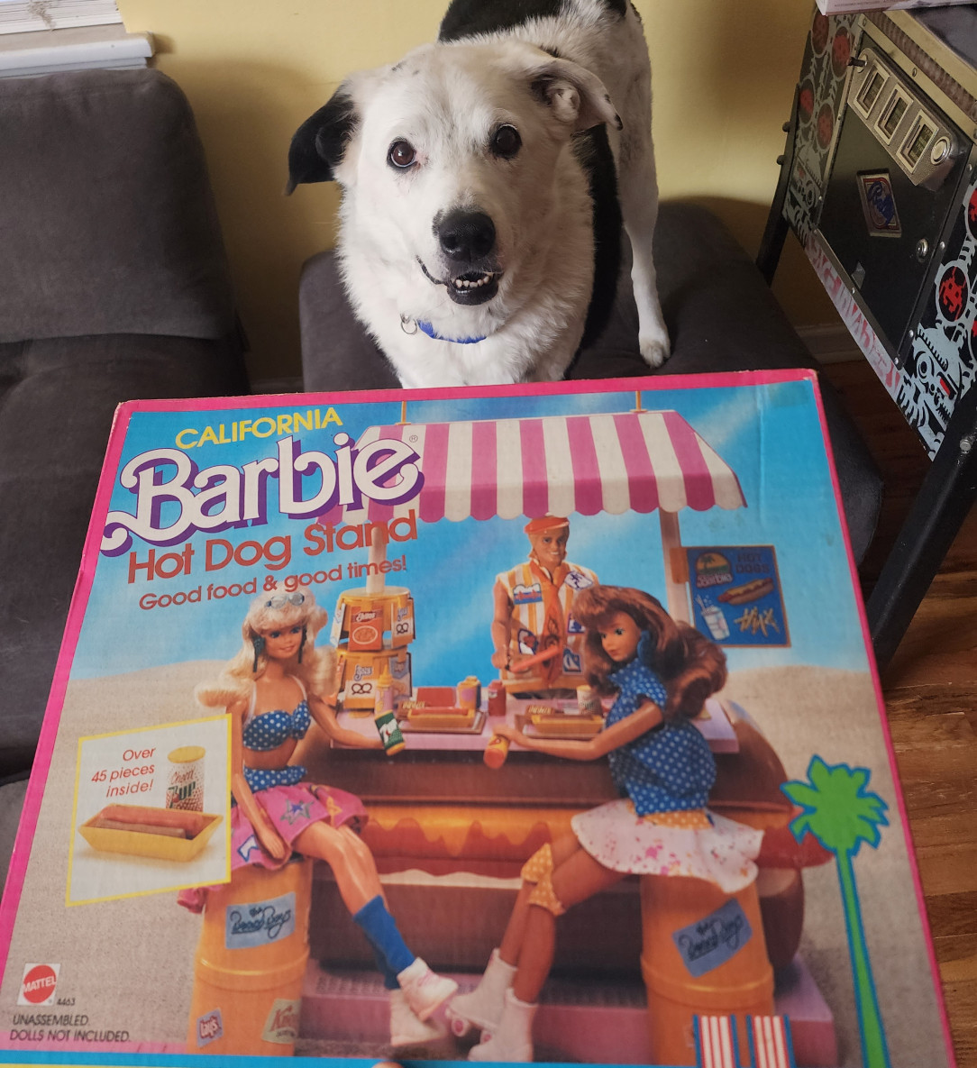 35 years after circling the Barbie Hot Dog Stand in the Sears catalog, I&#039;ve finally got it! 🐩