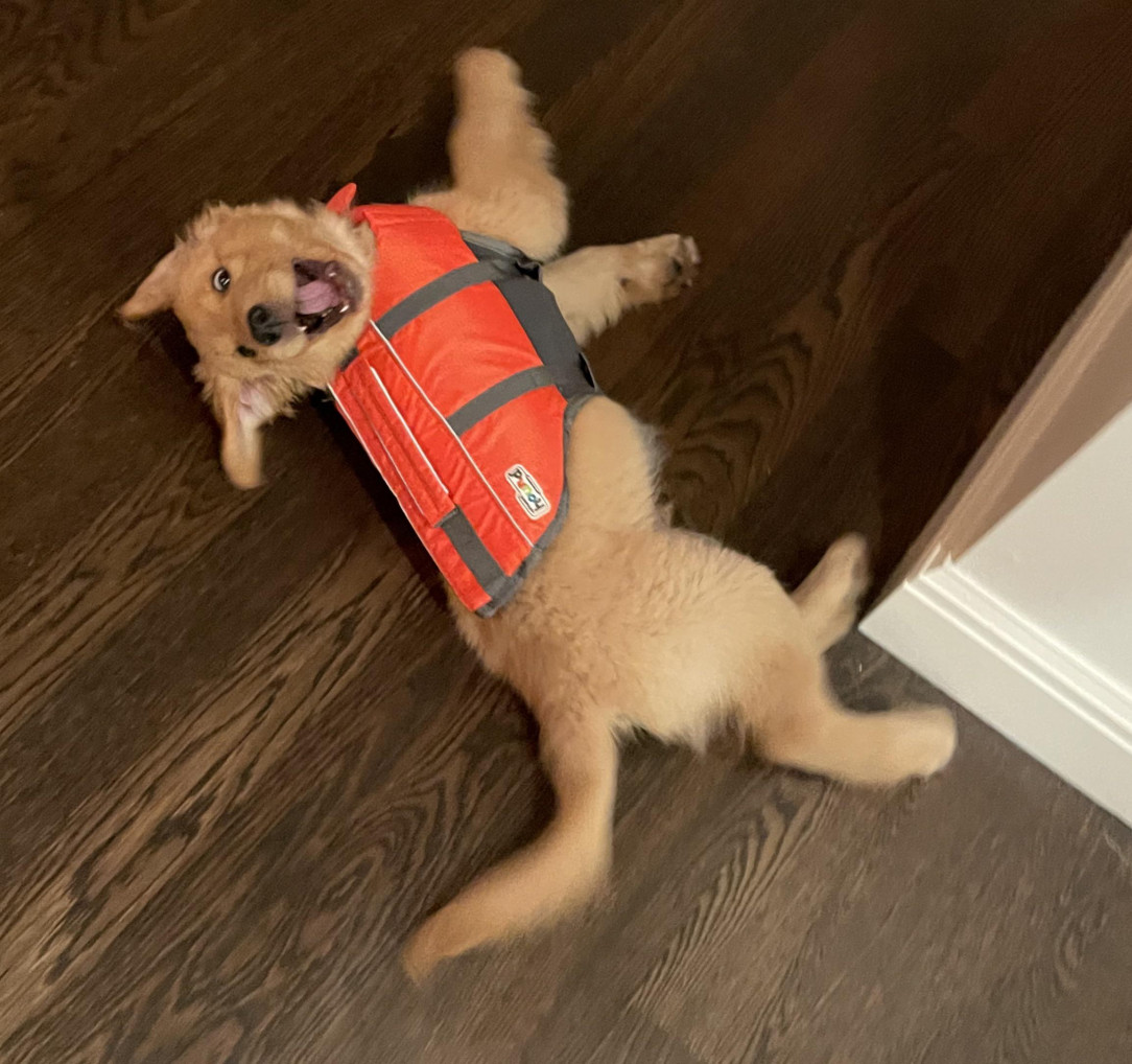 Someone is ready for his first canoe trip!