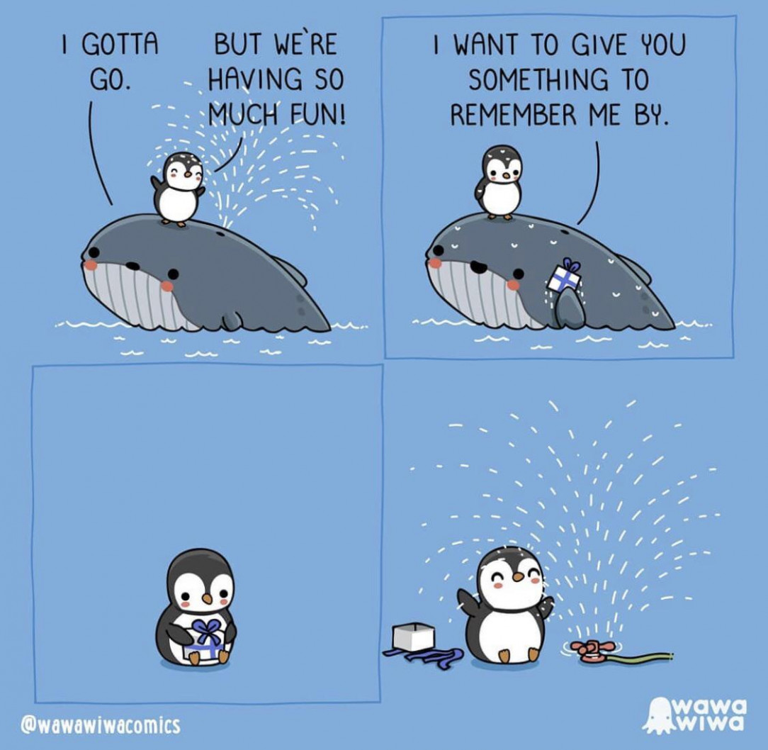 Having a whale of a time together