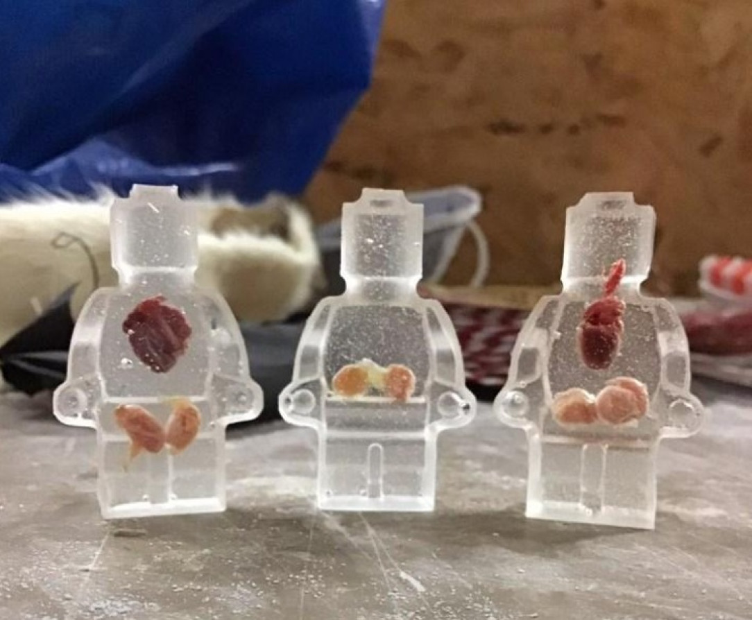 From Facebook marketplace near me - man takes mouse hearts and testicles, encases them in transparent resin Lego men, sells for £5 each 💓