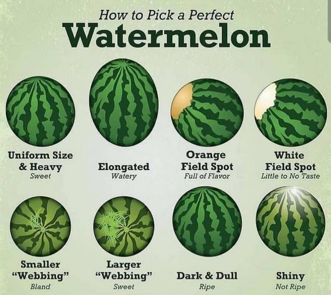 Get the watermelon of your choice