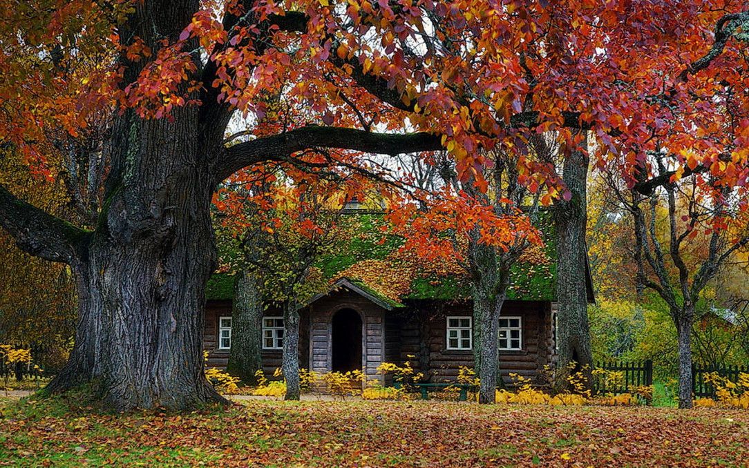 Autumn in Russia