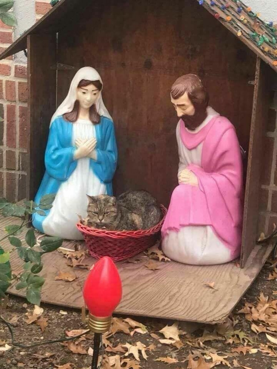 “Fuck off. I’m baby Jesus” 😻