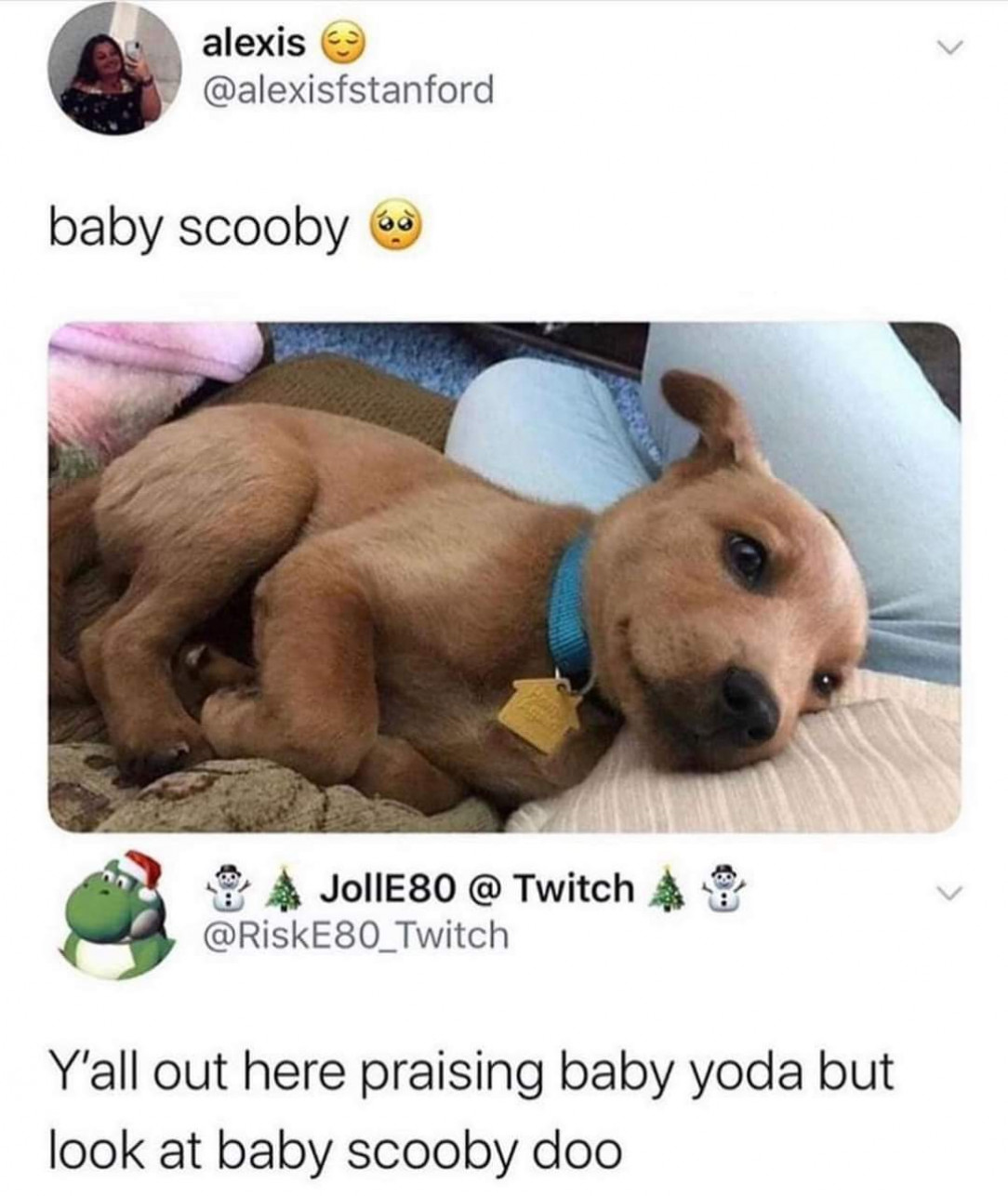 BABY SCOOBY