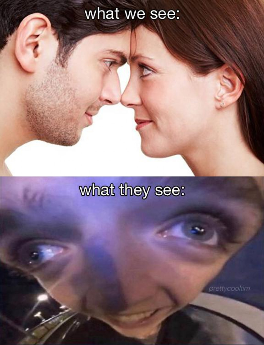 What they see