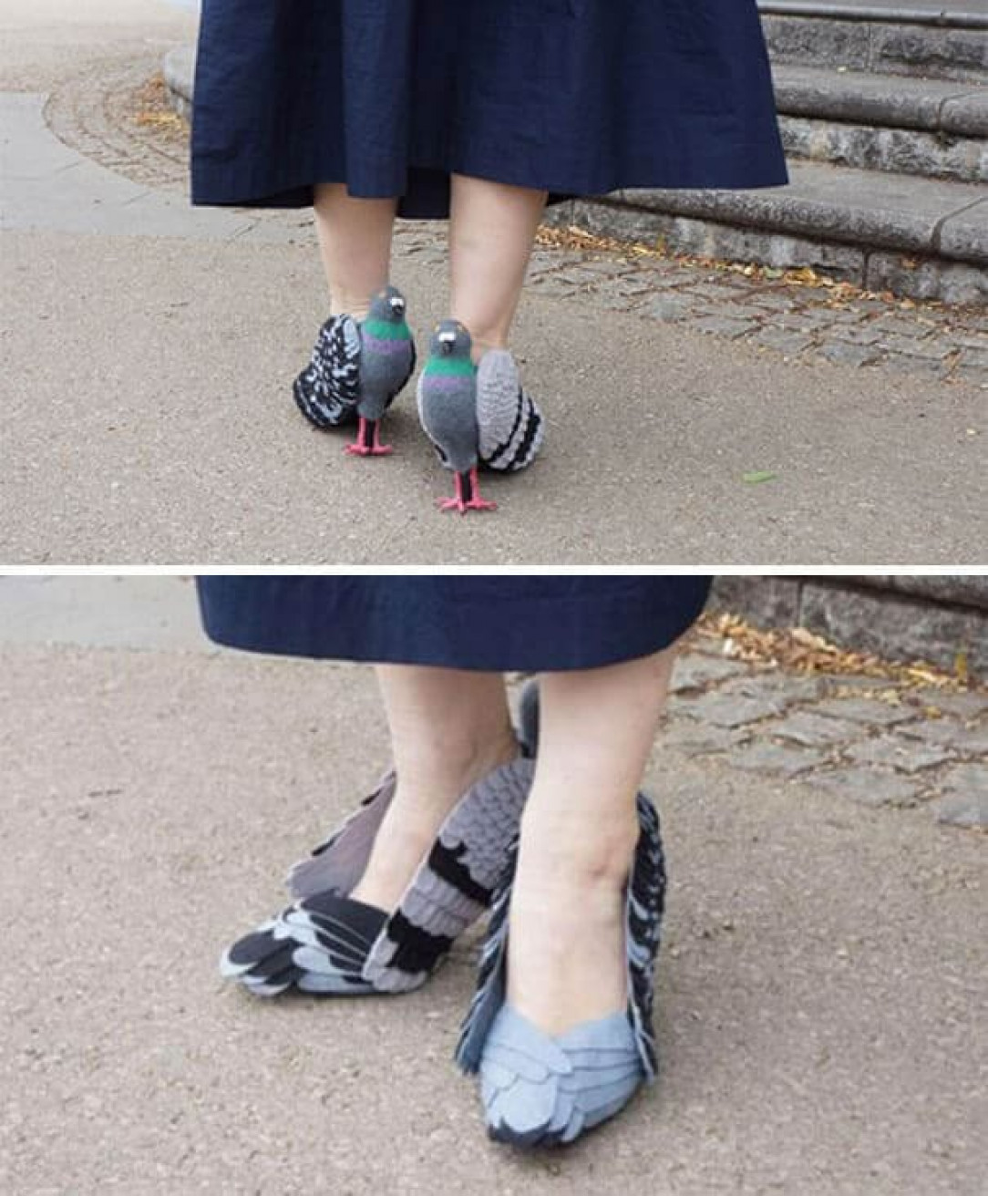 Oh dear! Pigeon shoes