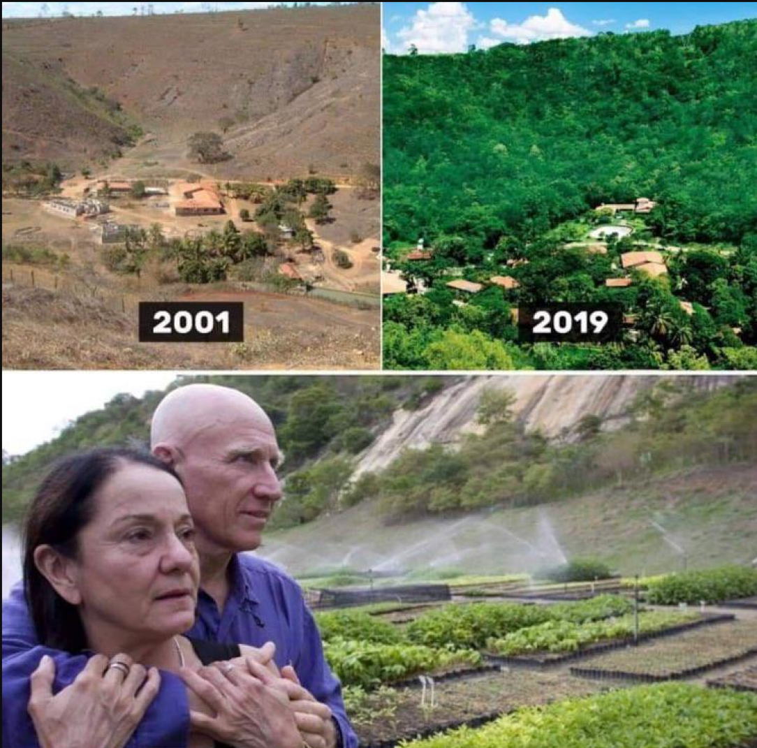 This couple planted over 2million trees to regrow a forest in 20years