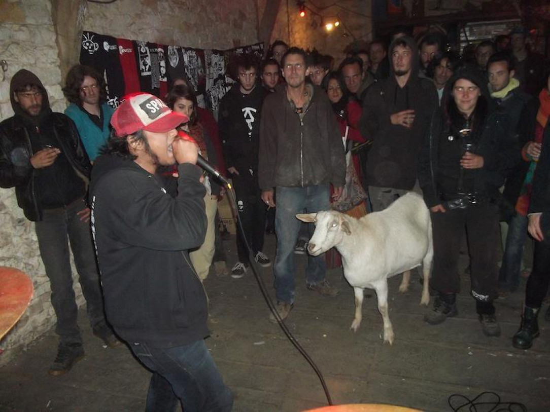 Goat just wants to listen to metal