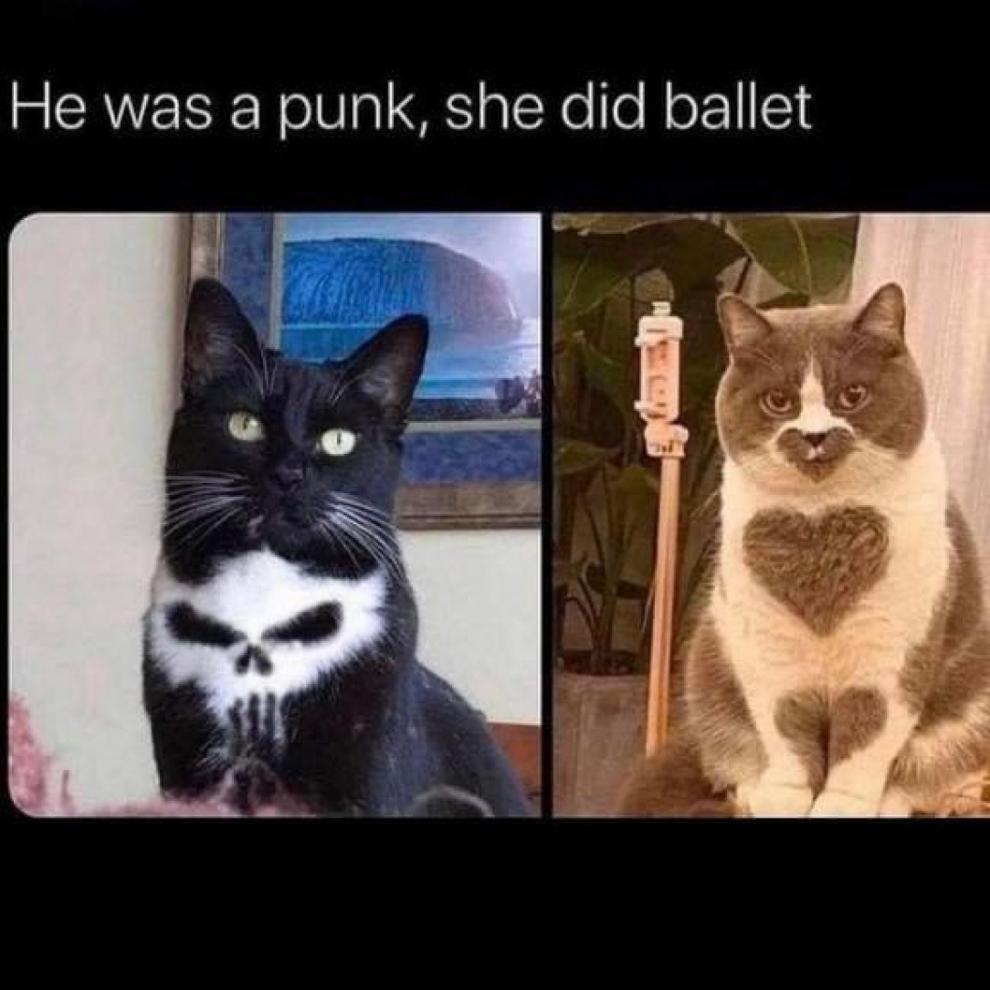 Punk VS Ballet