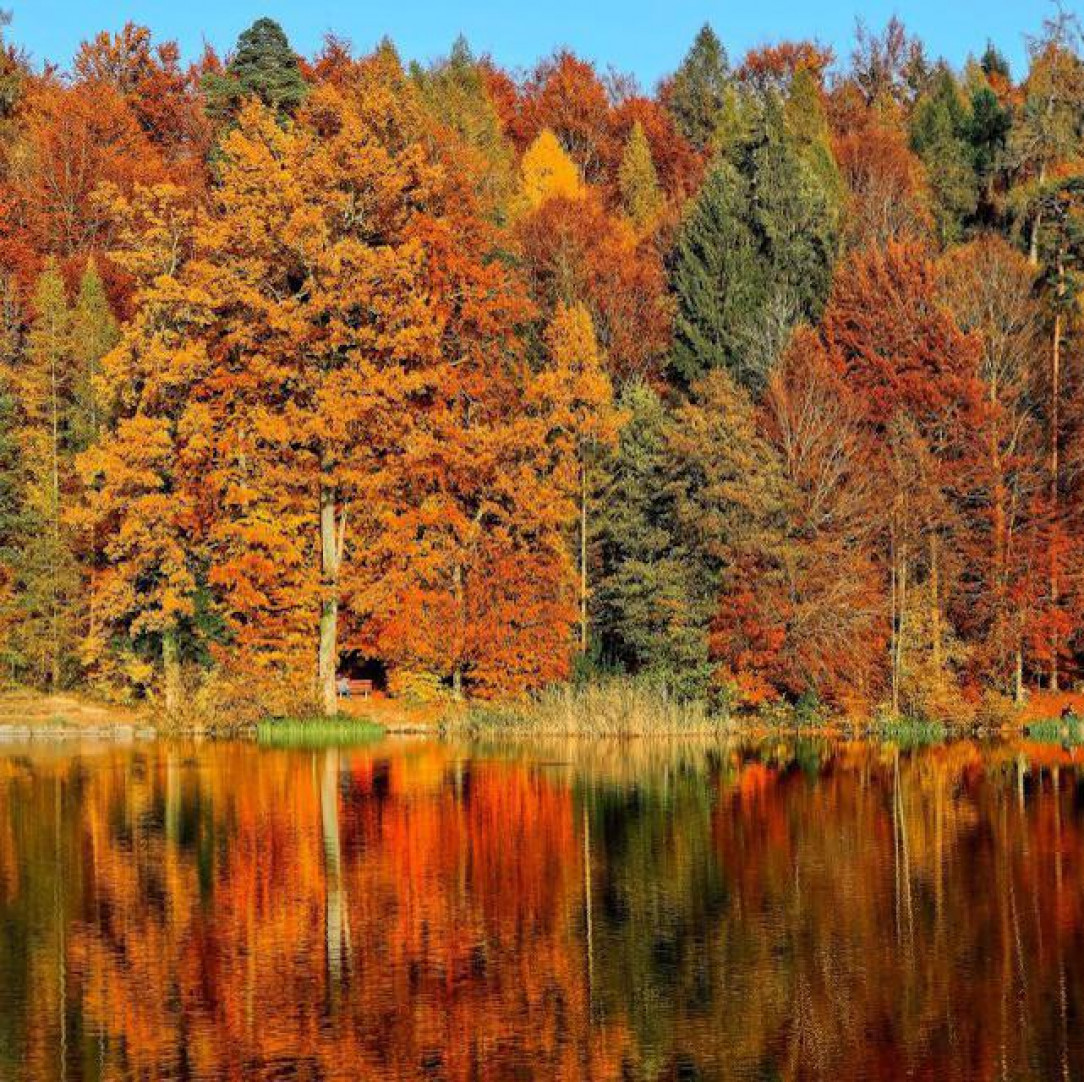 In Finnish we have a word (ruska) for the color splendor of plants and trees in autumn. How is it in your language?