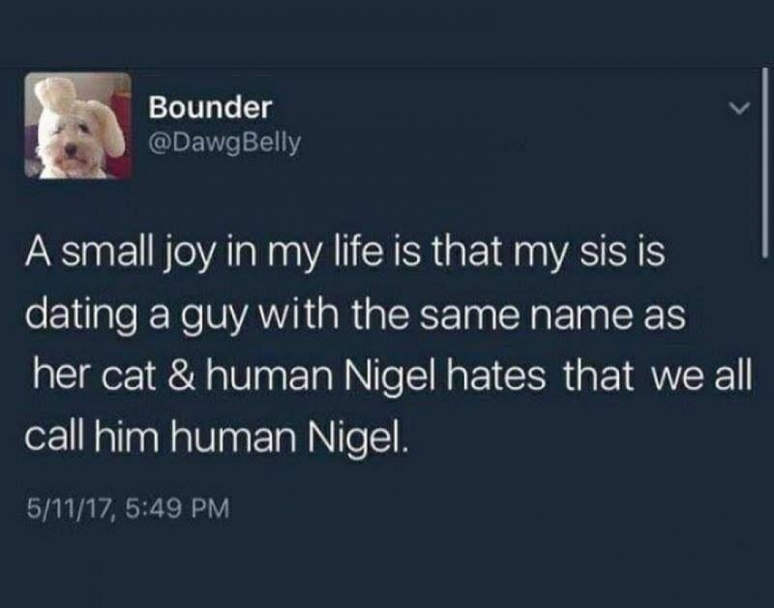 Human Nigel