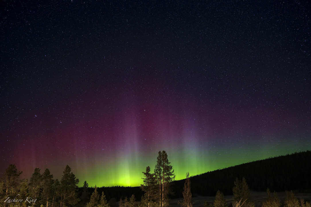 Aurora Borealis from Yellowstone National Park