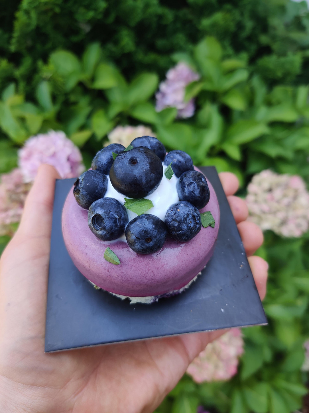 Blueberry mousse cake