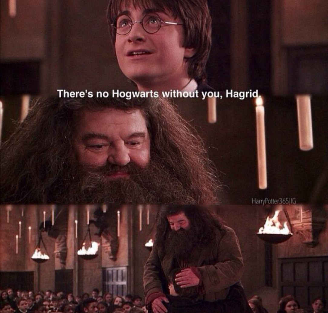 there is no hogwarts without you, hargid