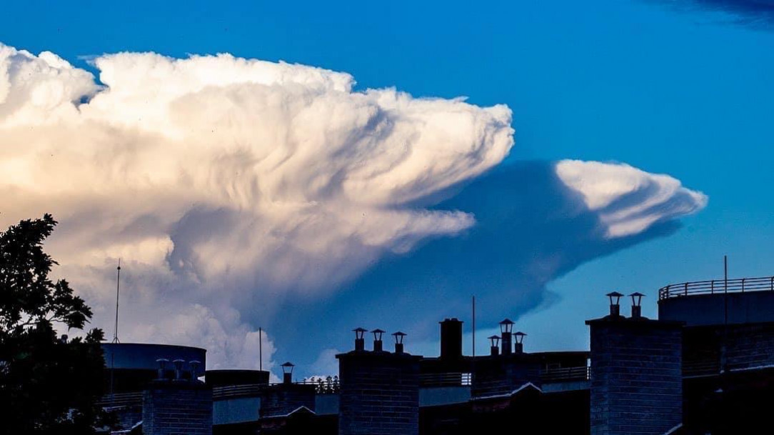 Bear-looking cloud