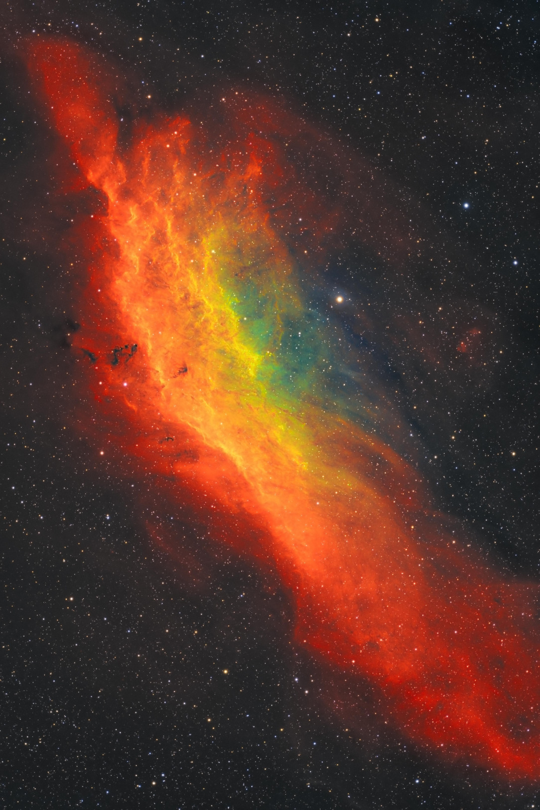California Nebula in SHO