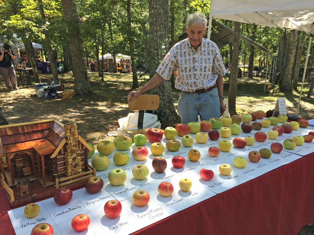 Tom Brown, retired engineer, has saved around 1,200 types of apples from extinction over 25 years