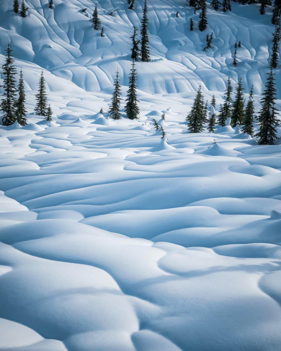 Rain falling on snow made these nice, smooth textures (Mount Rainier National Park)