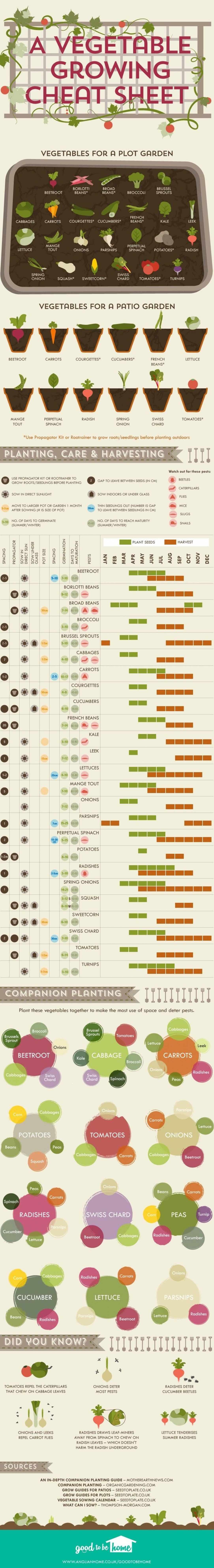 Vegetable growing cheat sheet