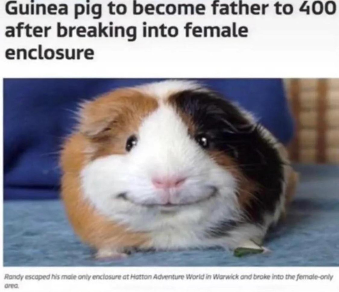 Guinea the adventurer, Father to all