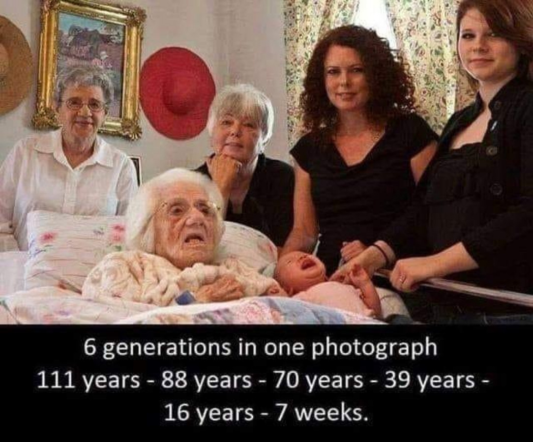 6 generations