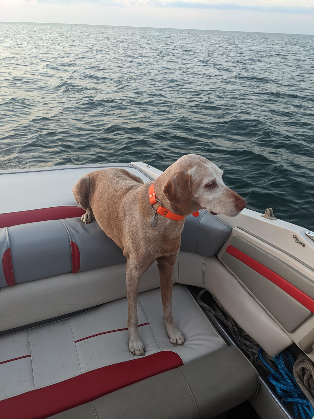 Why sit? Why stand? When you can do both! ON A BOAT!