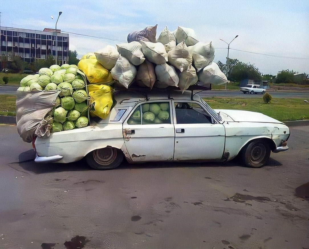 Old Volga transporting several hundred pounds of cabbage