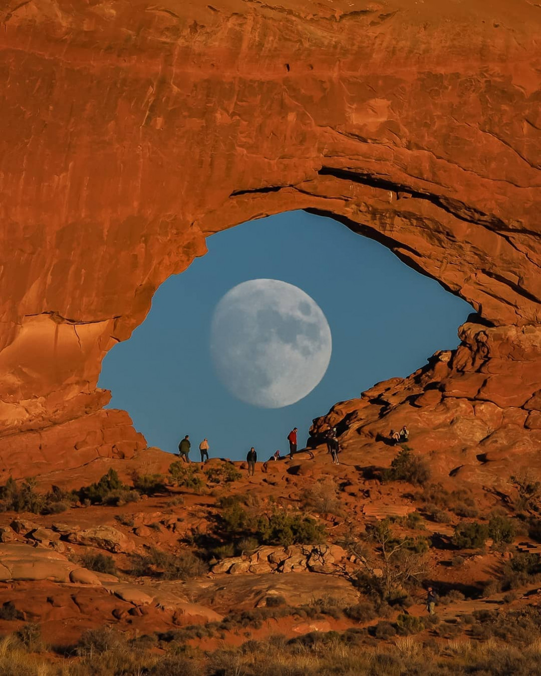 Mooneye in Utah rock formation